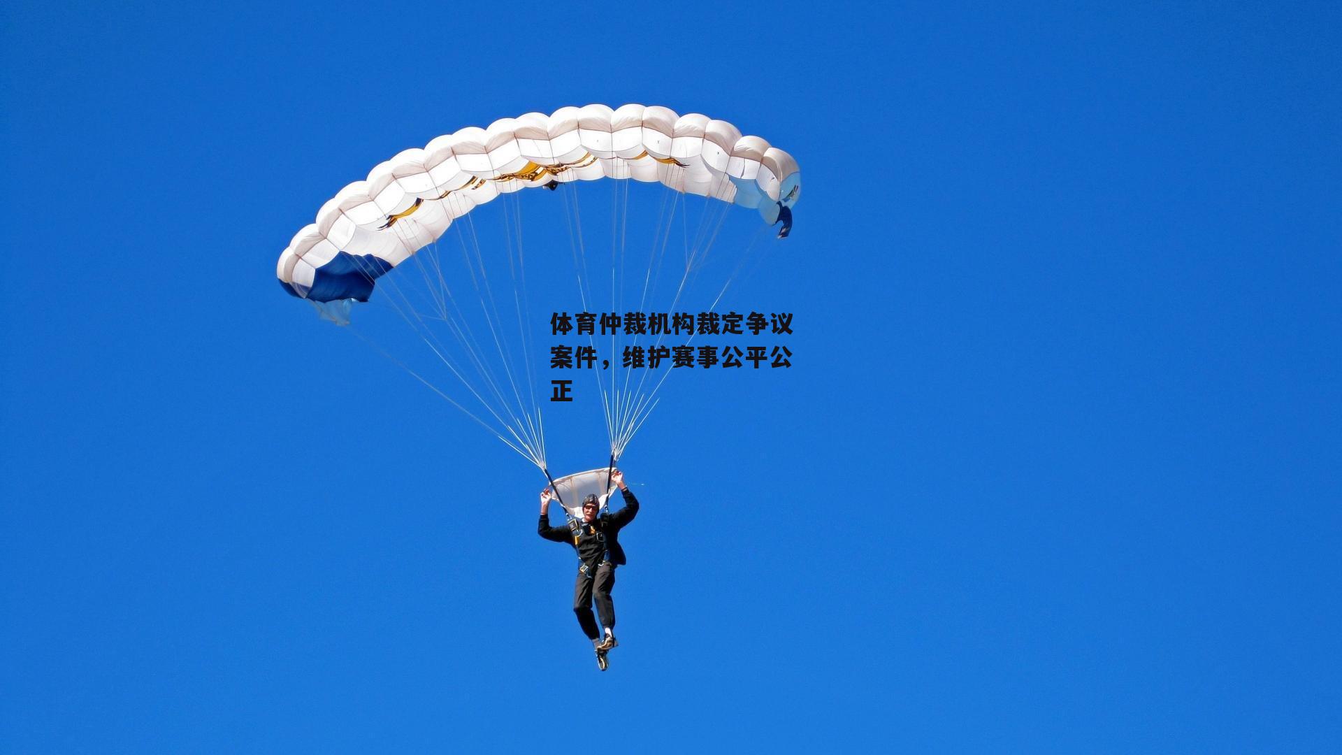 体育仲裁机构裁定争议案件，维护赛事公平公正