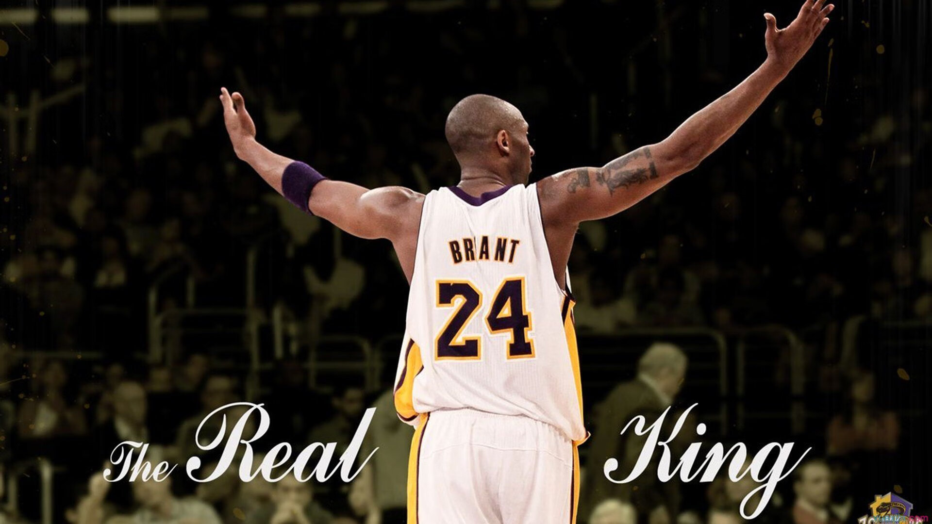 体育教育新政策落地，中小学将全面加强体能训练与团队协作培养