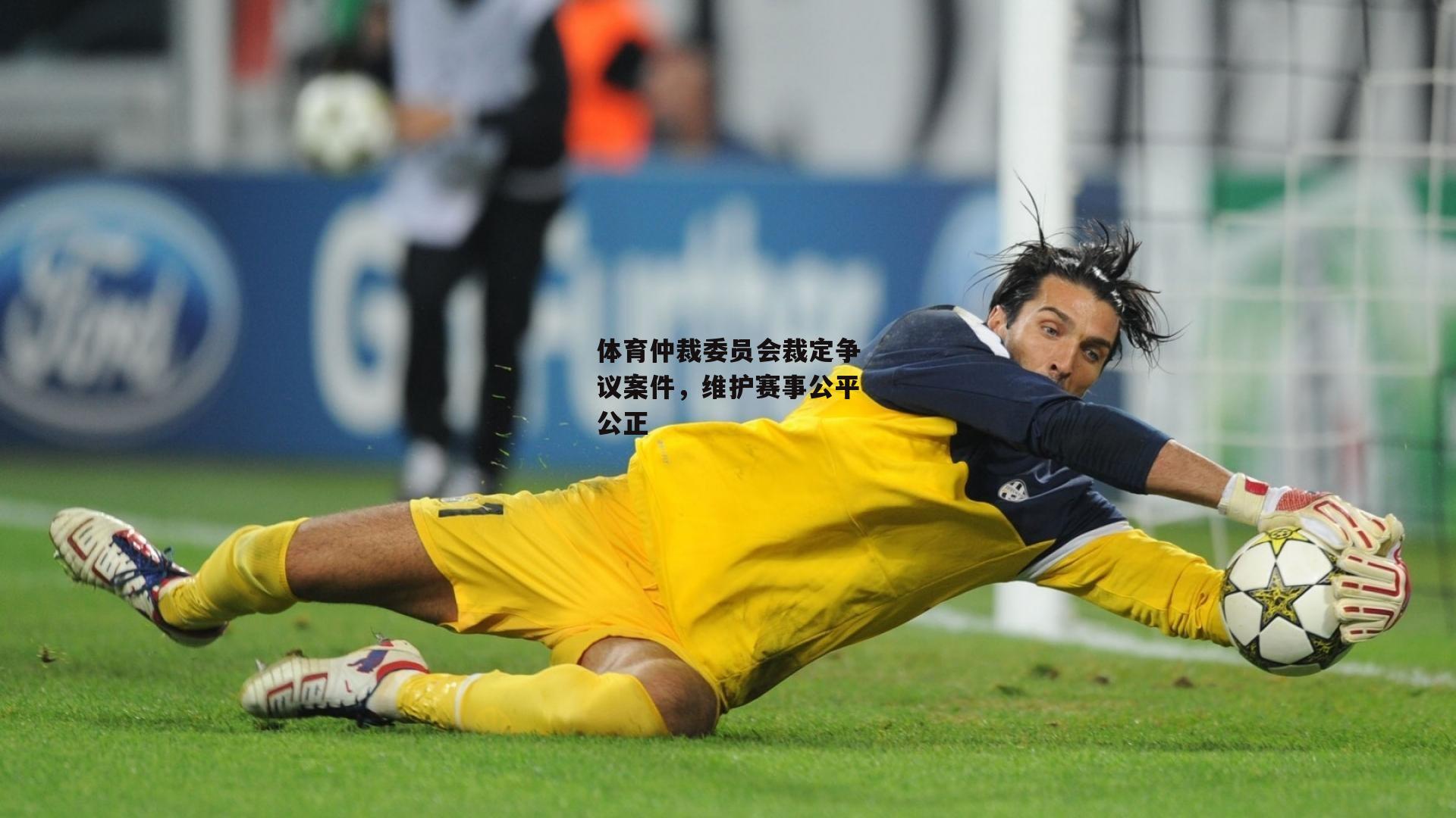 体育仲裁委员会裁定争议案件，维护赛事公平公正