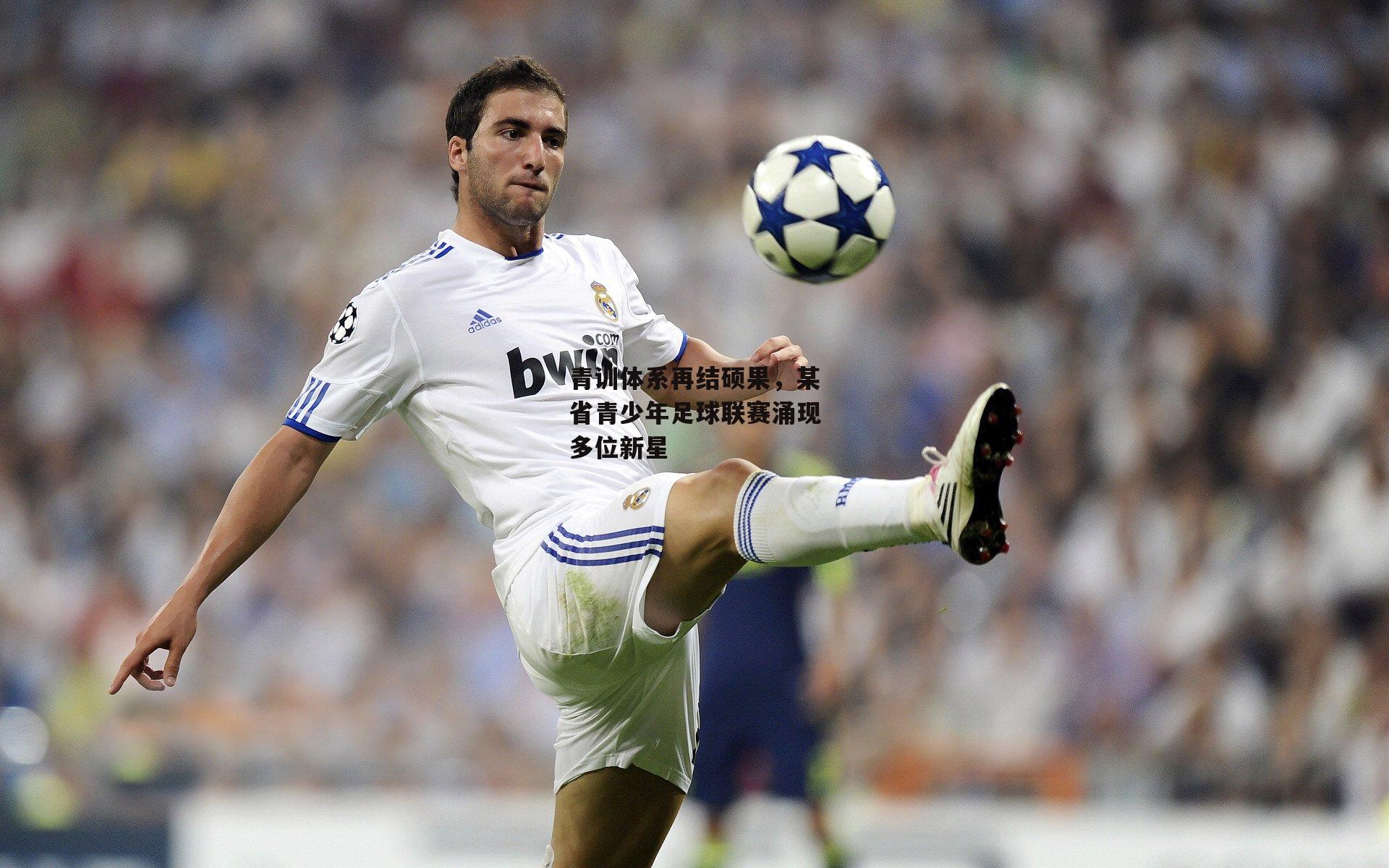 青训体系再结硕果，某省青少年足球联赛涌现多位新星