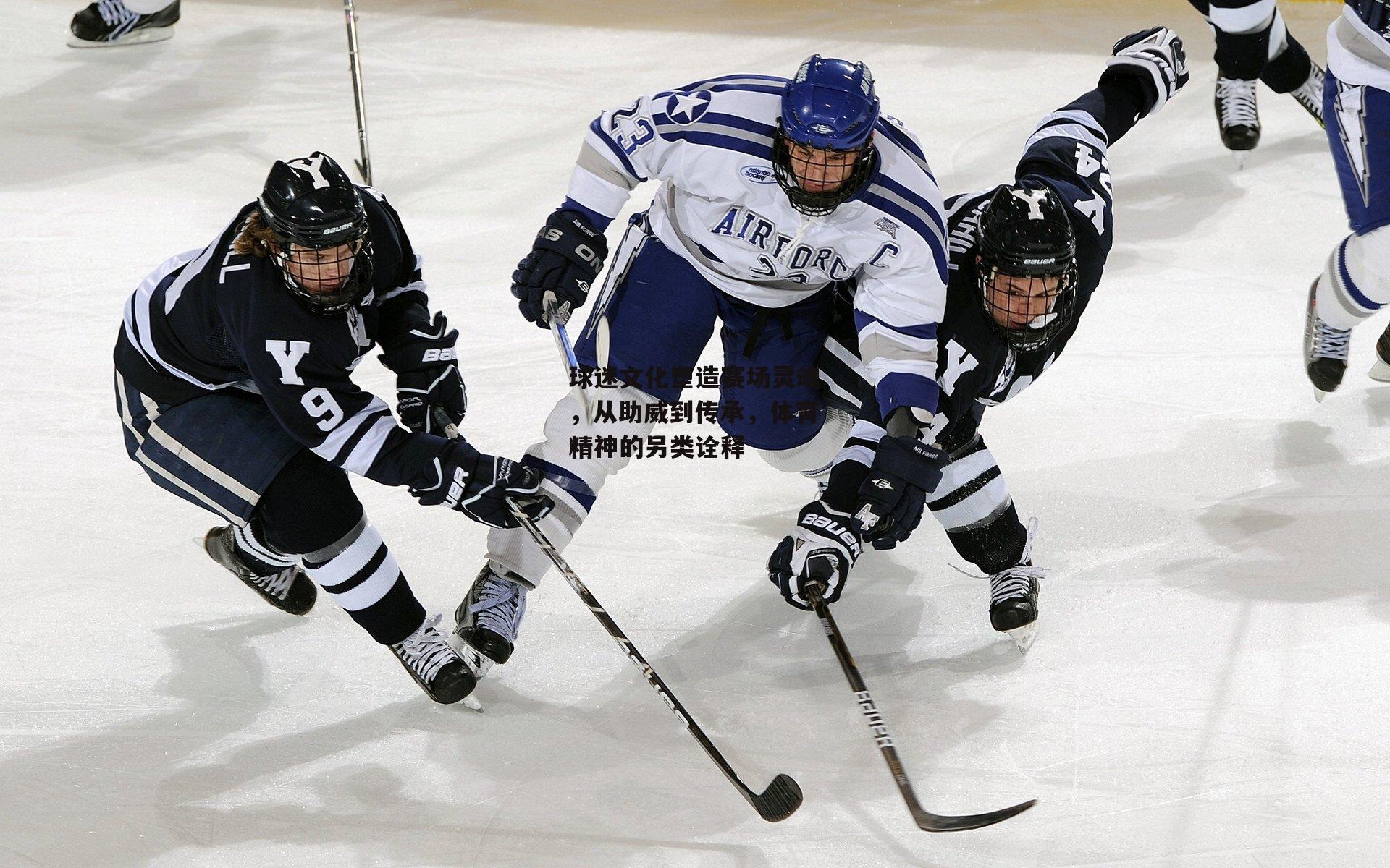 球迷文化塑造赛场灵魂，从助威到传承，体育精神的另类诠释