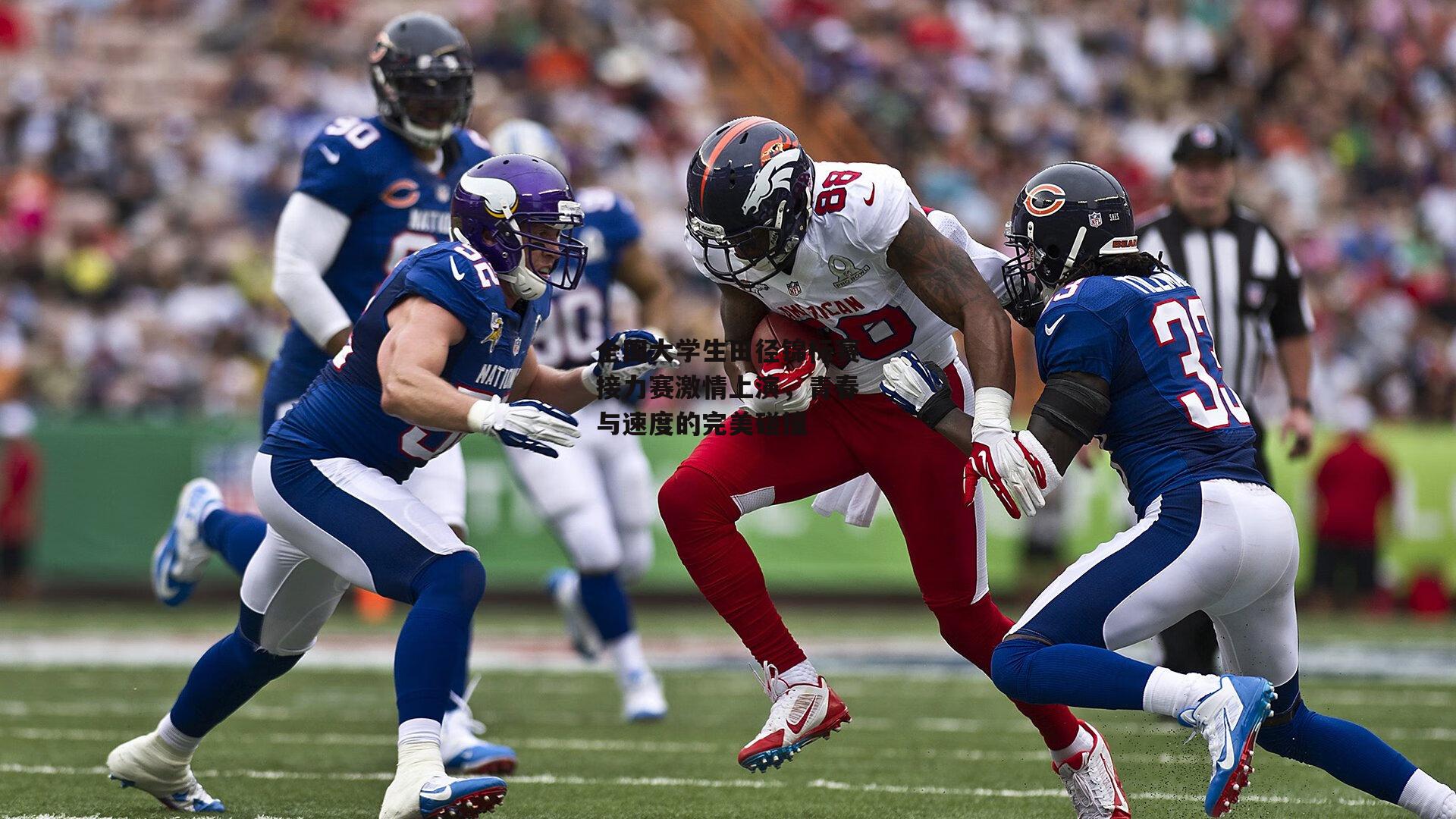 全国大学生田径锦标赛接力赛激情上演，青春与速度的完美碰撞